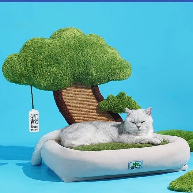  Catree cổ thụ kèm nệm ngủ cho mèo 