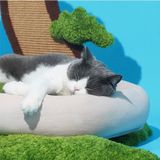  Catree cổ thụ kèm nệm ngủ cho mèo 
