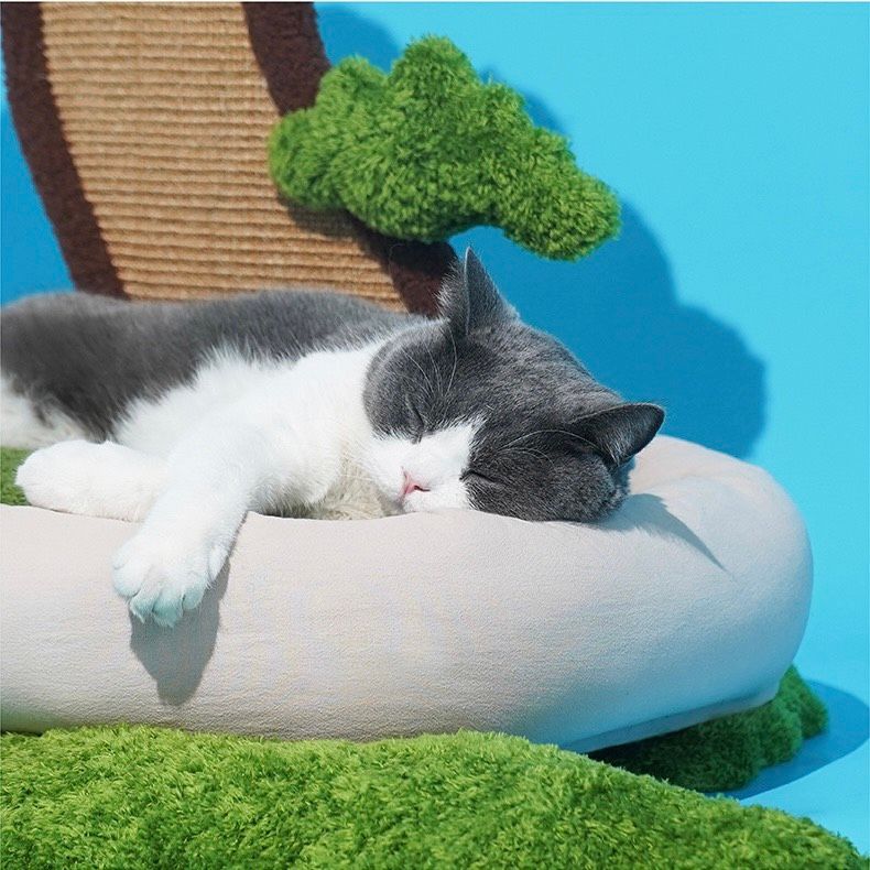  Catree cổ thụ kèm nệm ngủ cho mèo 