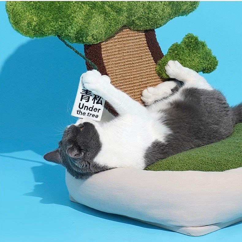  Catree cổ thụ kèm nệm ngủ cho mèo 