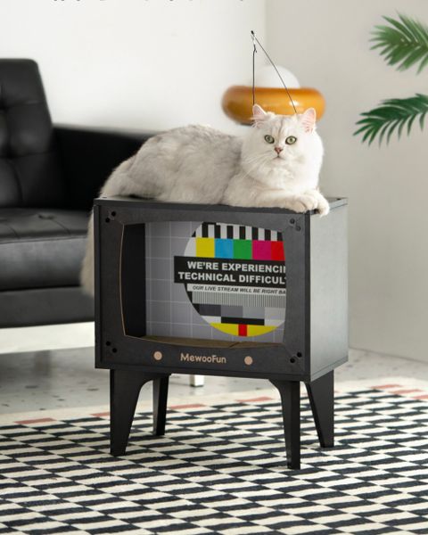  Bàn cào móng Tivi cho mèo 