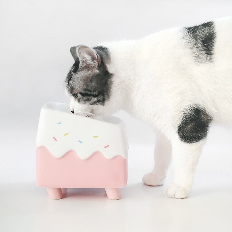  Chén sứ cao bánh kem hồng cho thú cưng 