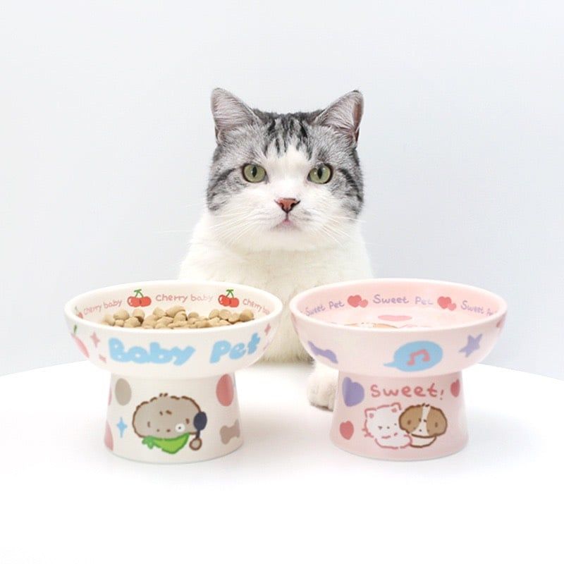  Chén sứ đế tròn cho thú cưng 
