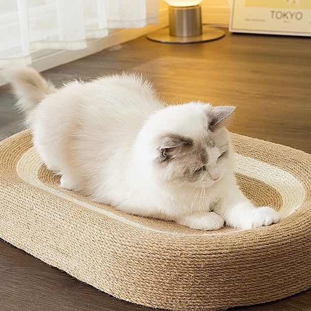  Bàn cào móng dây thừng cho mèo 
