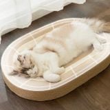  Bàn cào móng dây thừng cho mèo 