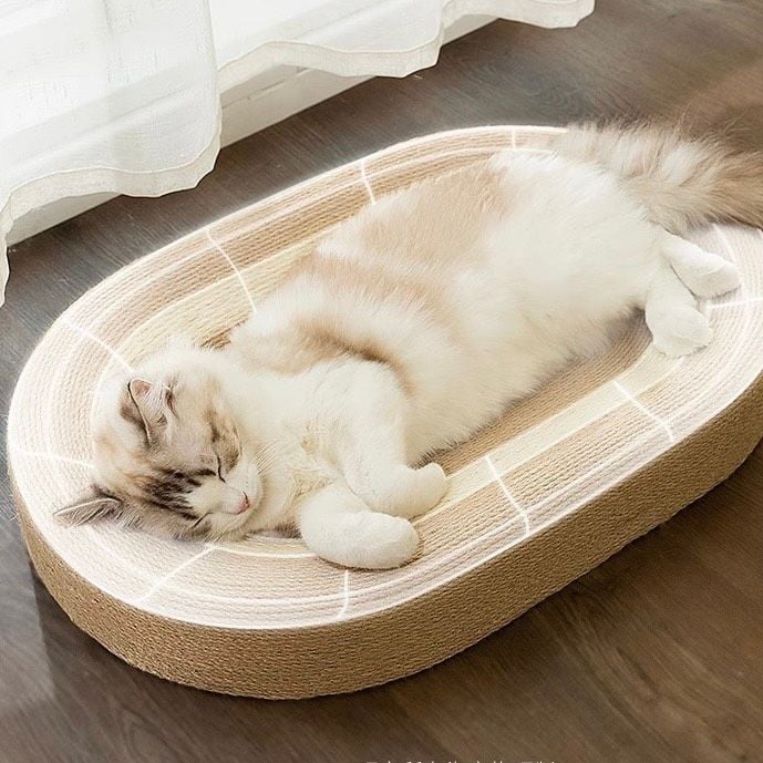  Bàn cào móng dây thừng cho mèo 