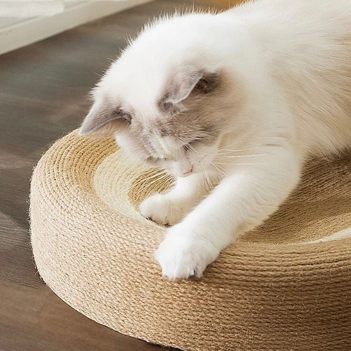  Bàn cào móng dây thừng cho mèo 