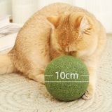  Banh catnip bự 