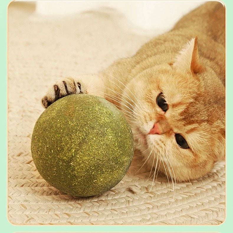  Banh catnip bự 