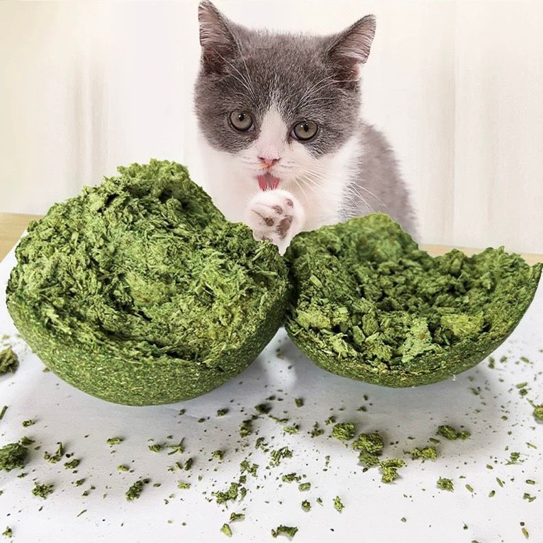  Banh catnip bự 