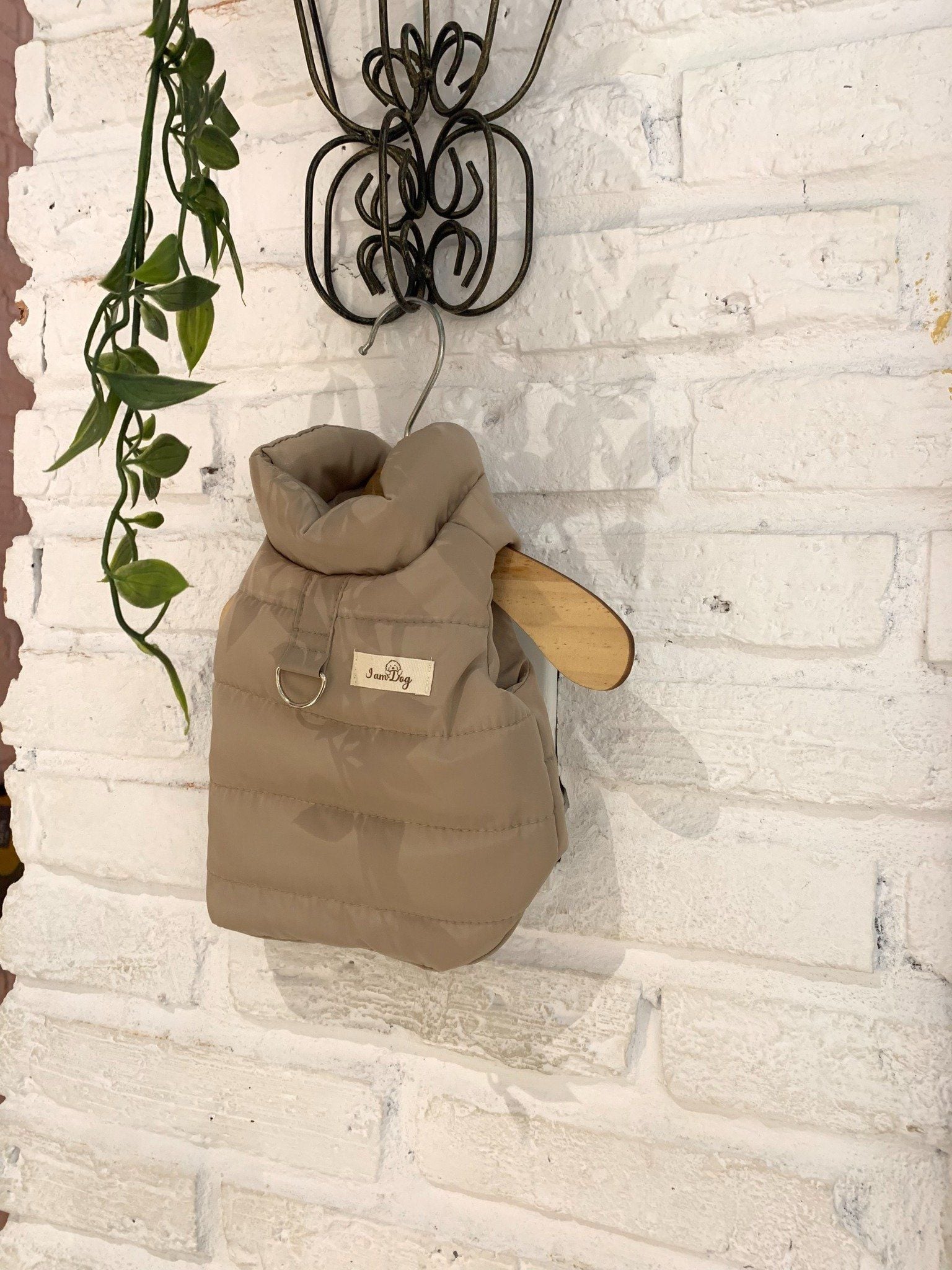  Áo Jacket Cho Thú Cưng I Am Dog 