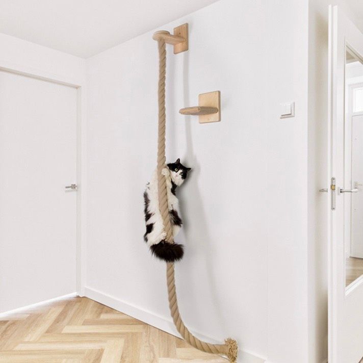  Dây thừng cào móng gắn tường cho mèo 