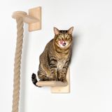  Dây thừng cào móng gắn tường cho mèo 