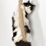  Dây thừng cào móng gắn tường cho mèo 
