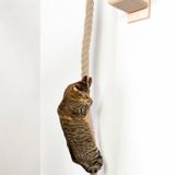  Dây thừng cào móng gắn tường cho mèo 