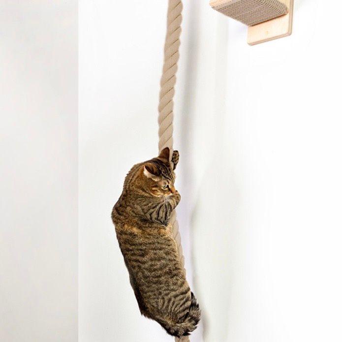  Dây thừng cào móng gắn tường cho mèo 