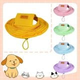  Nón tai bèo cho thú cưng 