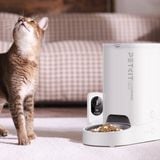  Máy cho ăn tự động Petkit Solo có camera 