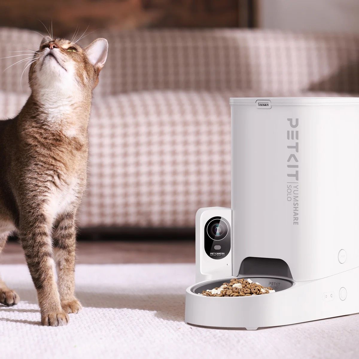  Máy cho ăn tự động Petkit Solo có camera 