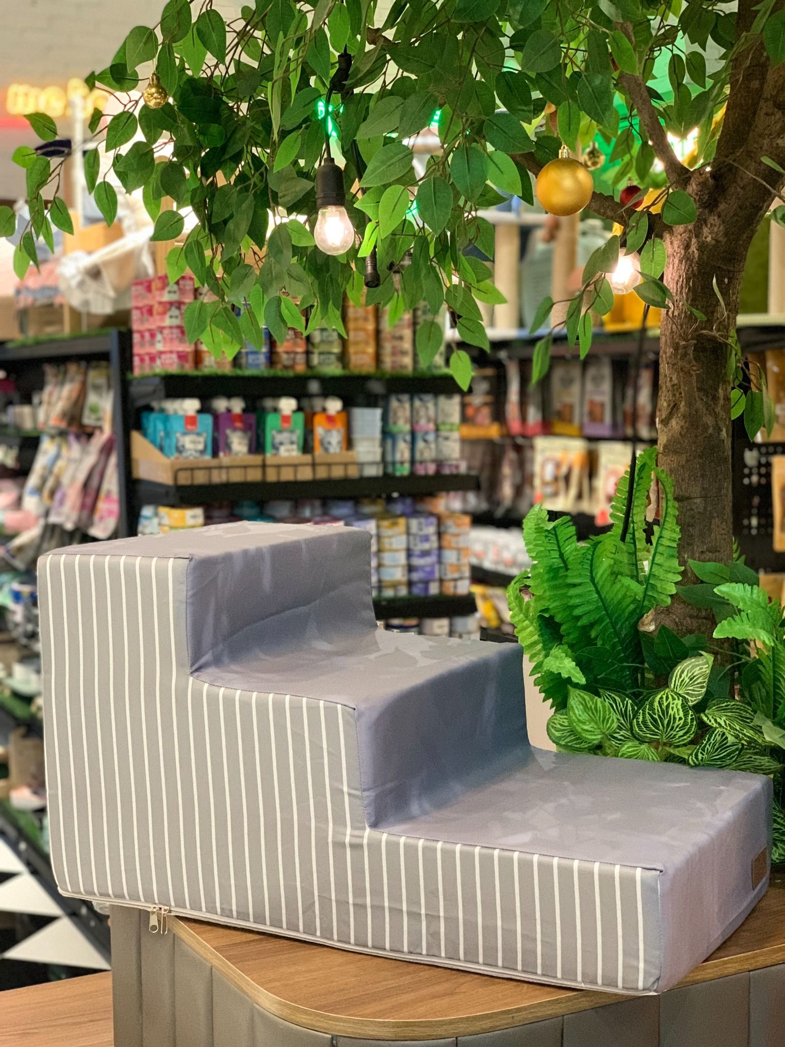  Bậc thang cho thú cưng Dfang 