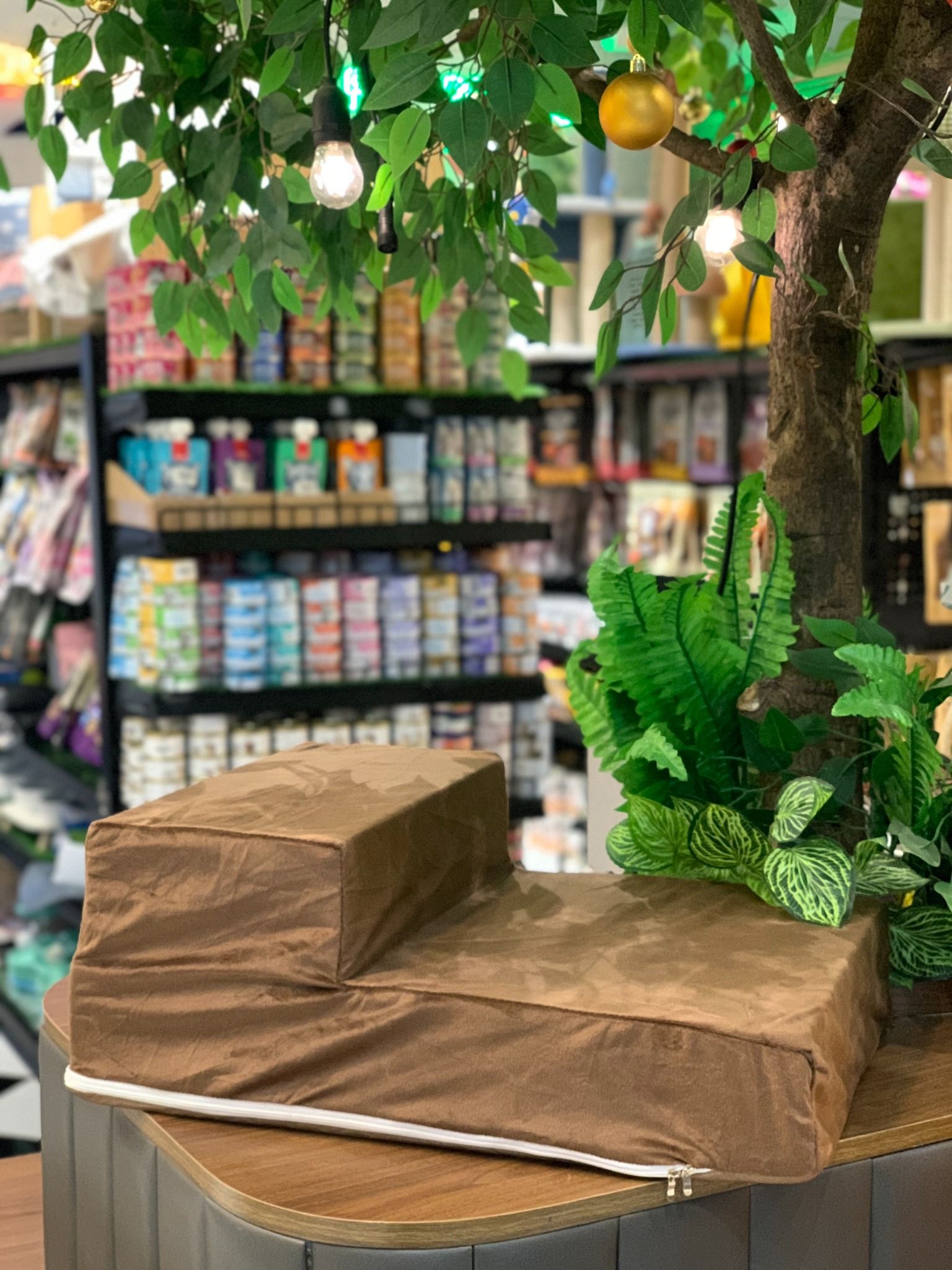  Bậc thang cho thú cưng 