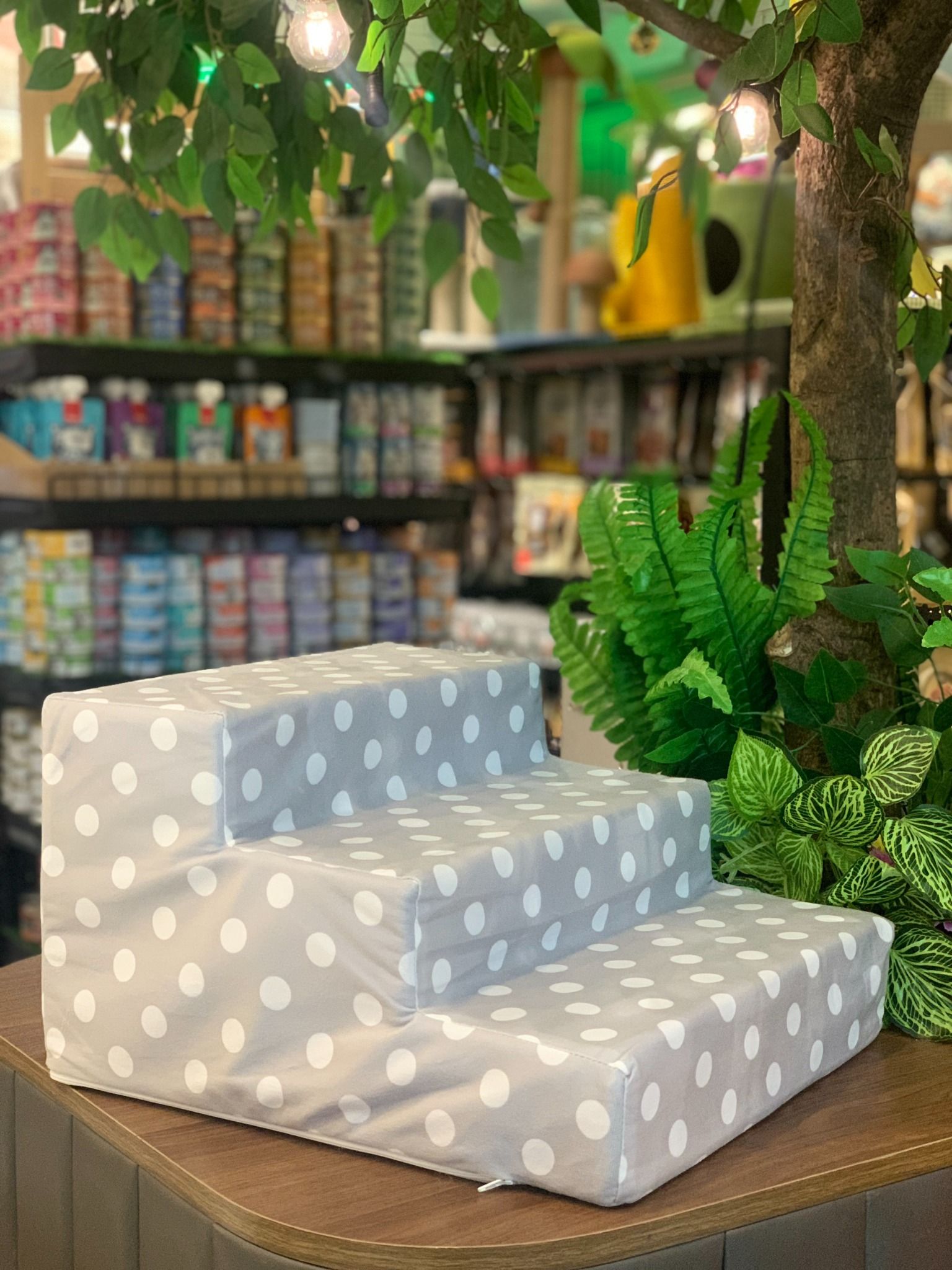  Bậc thang cho thú cưng 