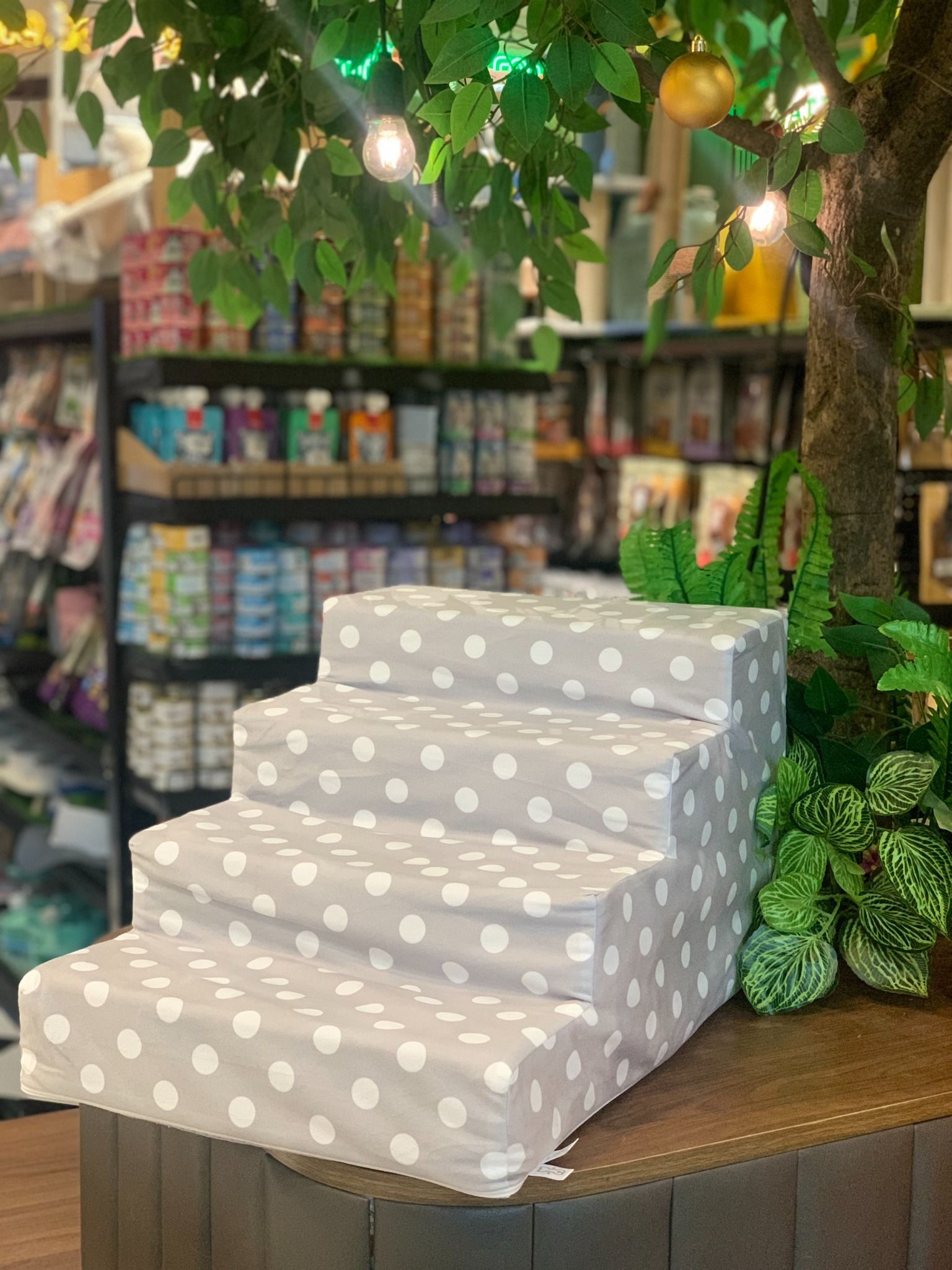  Bậc thang cho thú cưng 