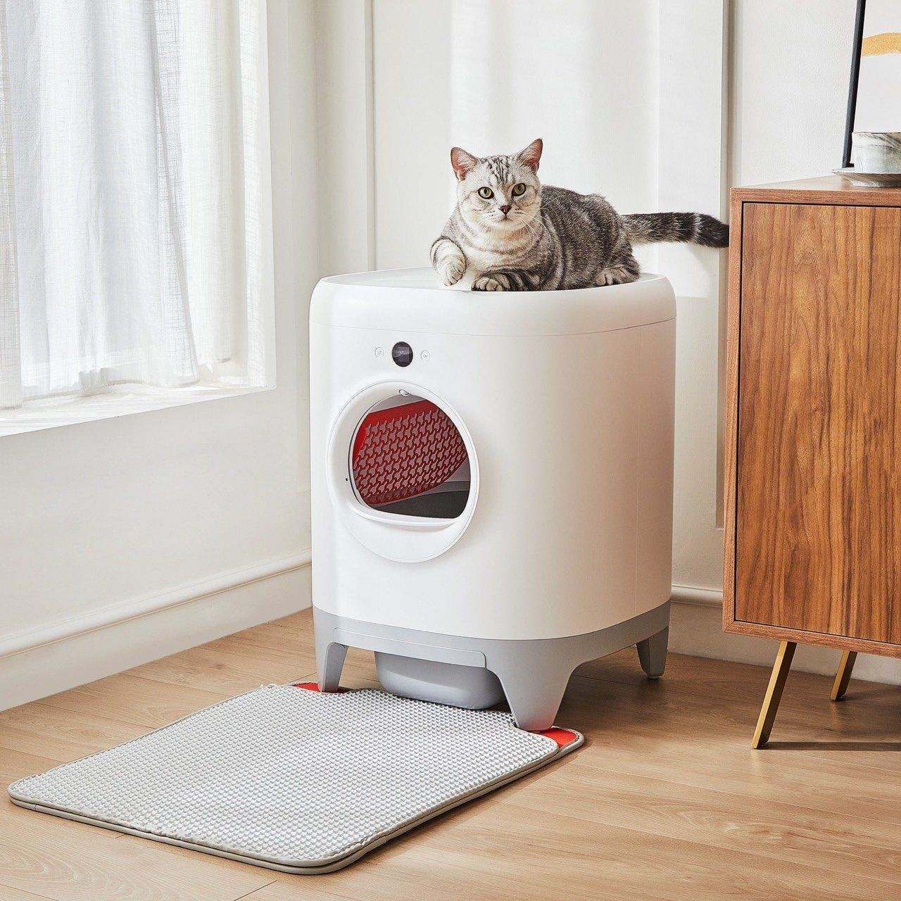  Máy vệ sinh mèo tự động Petkit Pura X 