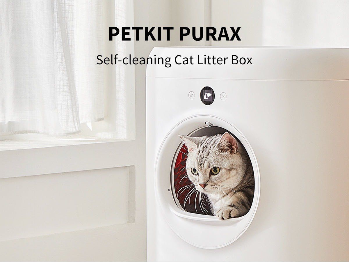  Máy vệ sinh mèo tự động Petkit Pura X 
