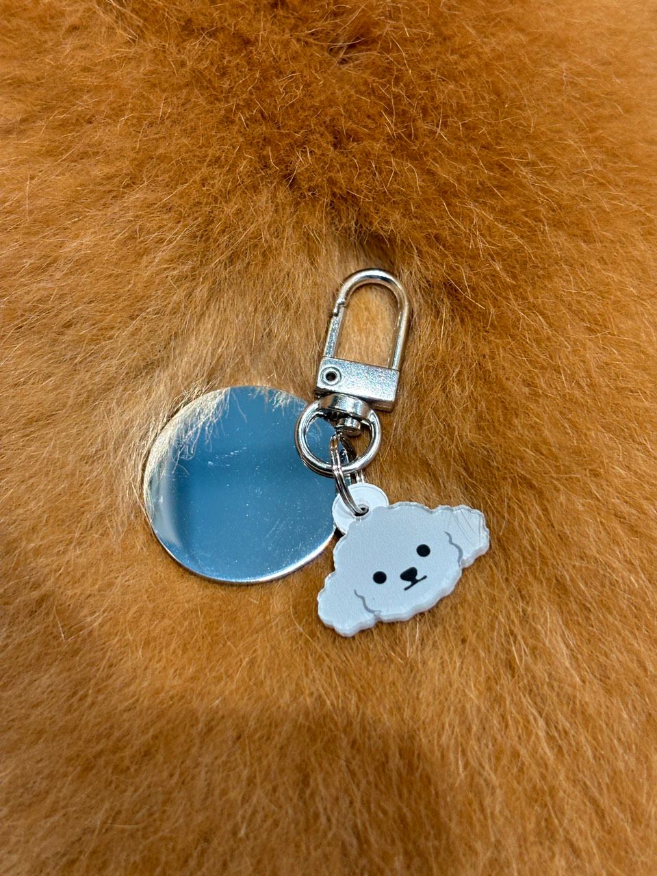  Nametag Poodle tai bướm Của Chó (Nhựa) 