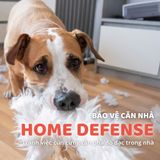  Đồ Chơi quả bóng mềm cho chó FOFOS 