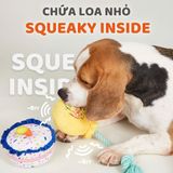  Đồ chơi bánh sinh nhật cho chó FOFOS 