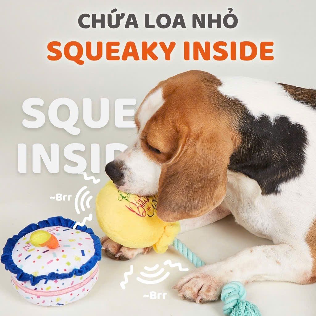  Đồ chơi bánh sinh nhật cho chó FOFOS 