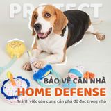  Đồ chơi bánh sinh nhật cho chó FOFOS 