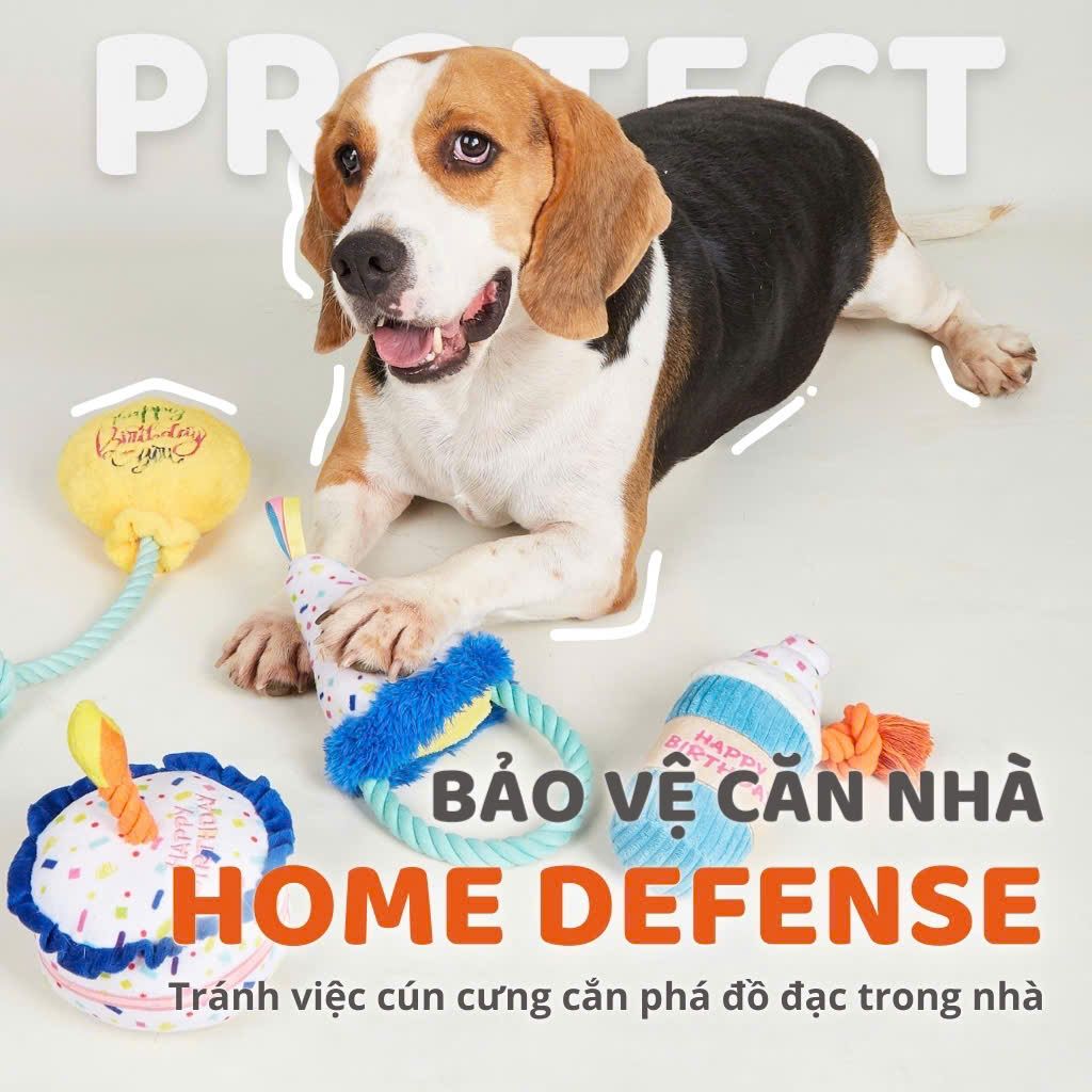  Đồ chơi bánh sinh nhật cho chó FOFOS 