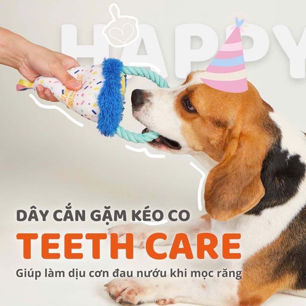  Đồ chơi bánh sinh nhật cho chó FOFOS 