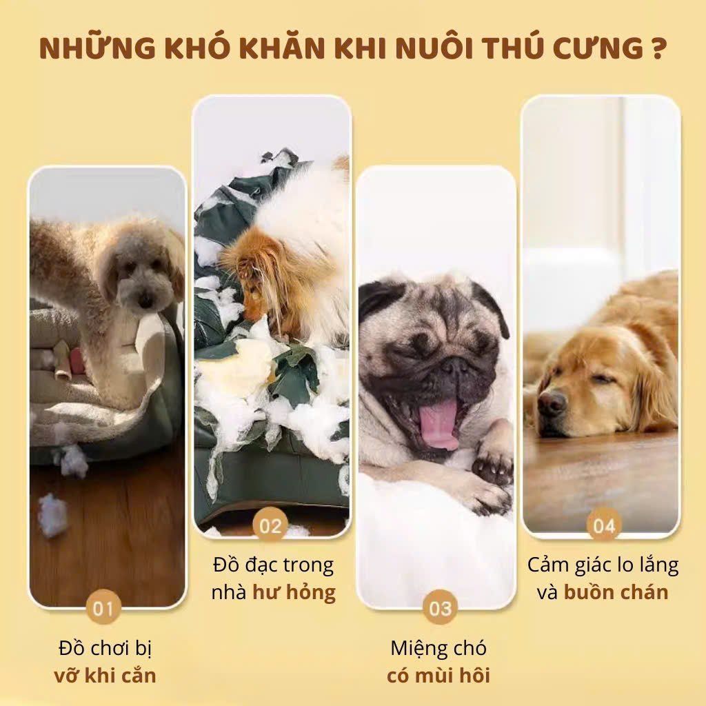  Đồ chơi dây dắt thắt ba đầu cho chó FOFOS 