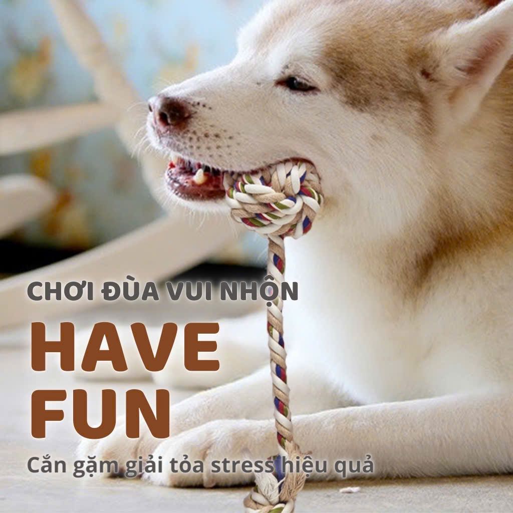  Đồ chơi dây dắt thắt ba đầu cho chó FOFOS 