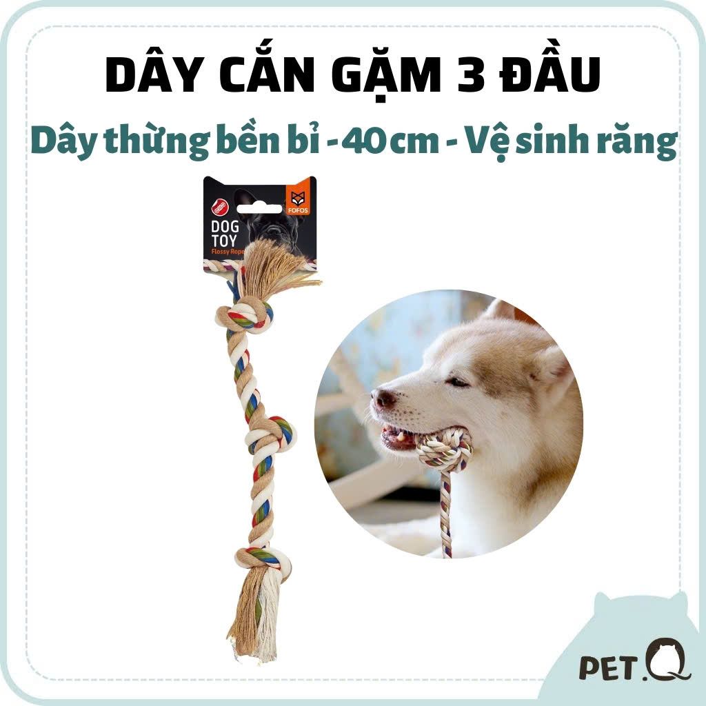  Đồ chơi dây dắt thắt ba đầu cho chó FOFOS 