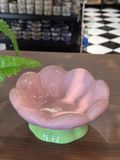  Chén ăn sứ nhiều màu 