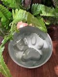  Chén ăn sứ nhiều màu 