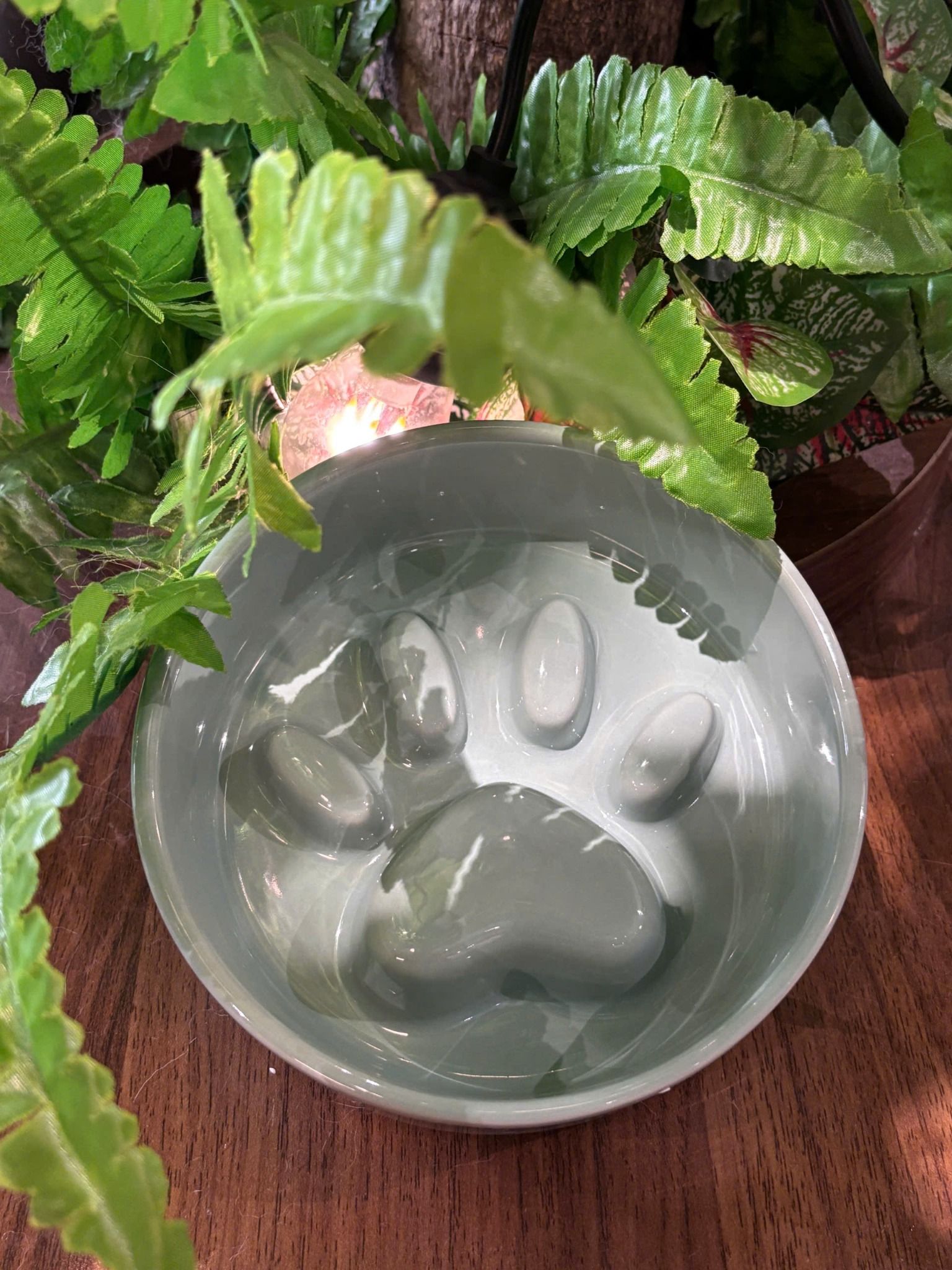  Chén ăn sứ nhiều màu 
