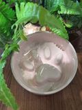  Chén ăn sứ nhiều màu 