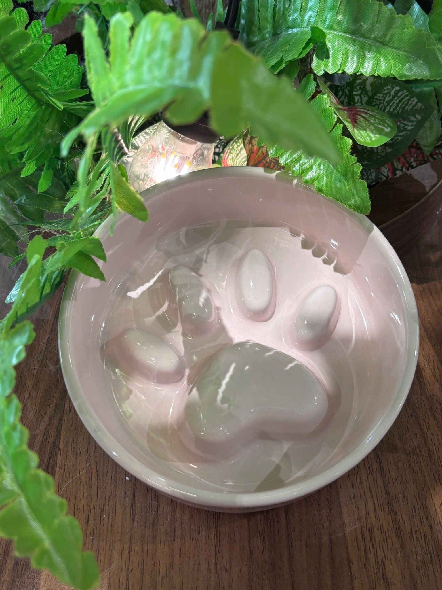  Chén ăn sứ nhiều màu 