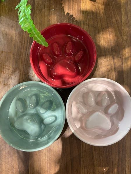  Chén ăn sứ nhiều màu 