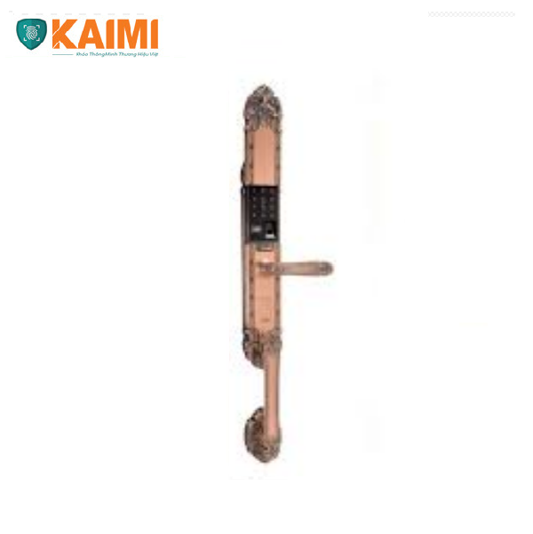 Khóa Cửa Đại Sảnh Kaimi DS101