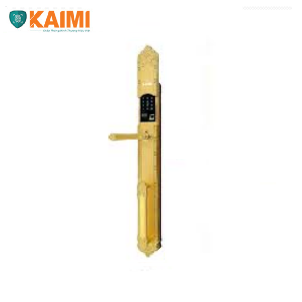 Khóa Cửa Đại Sảnh Kaimi DS102