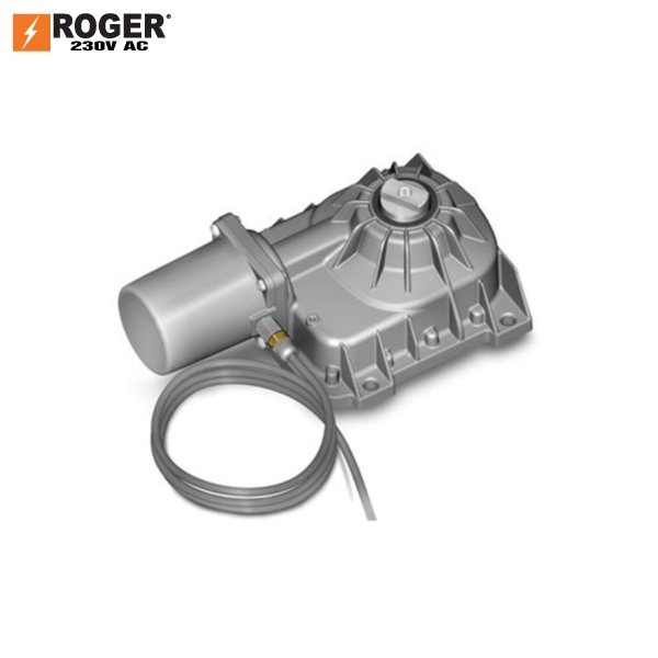  Motor Cổng Âm Sàn Roger BR21/351 36v 800kg Italia 