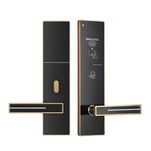 Khóa Cửa Thẻ Từ Demax HSL605