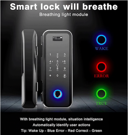Khóa Vân Tay Cửa Kính Capsule C300GF - USA